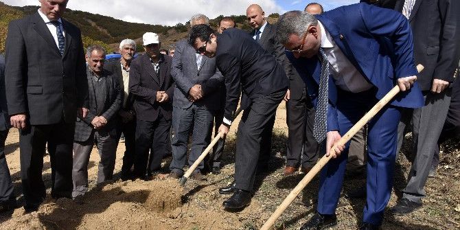 Köse’de 41 Bin Fidan Toprakla Buluştu