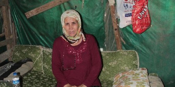 "Devlet" Ananın Yürek Burkan Dramı