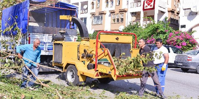 Muratpaşa’da Ağaç Dalları, Bahçe Atıkları Gübreye Dönüşüyor