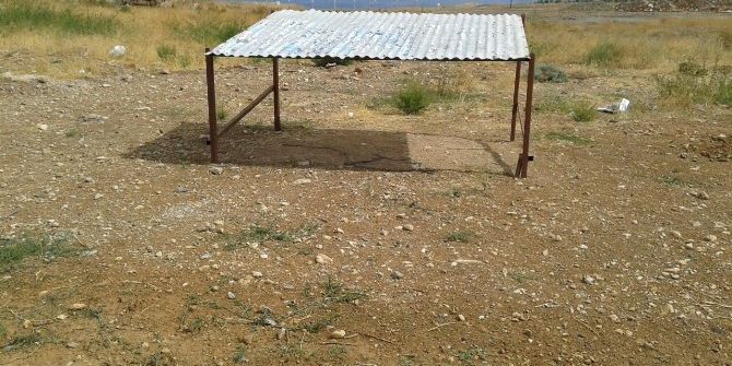 Büyükşehirden Sokak Hayvanları İçin Gölgelik