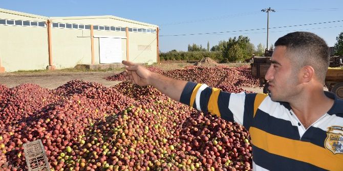 Para Etmeyen Elmanın Sağlamı Da Çürüğü De Satılmıyor