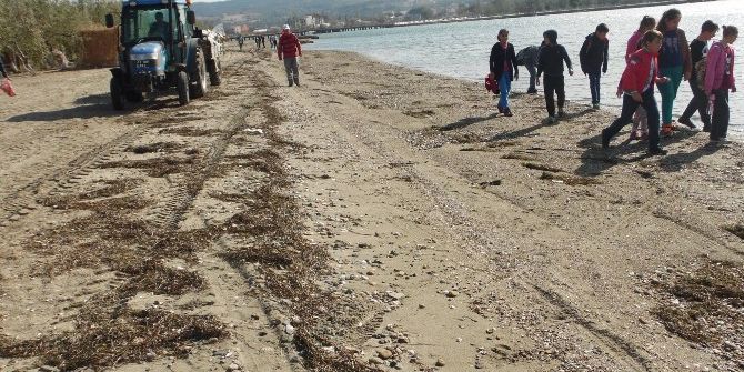 Çardak Kum Adasında Kıyı Temizliği Yapıldı