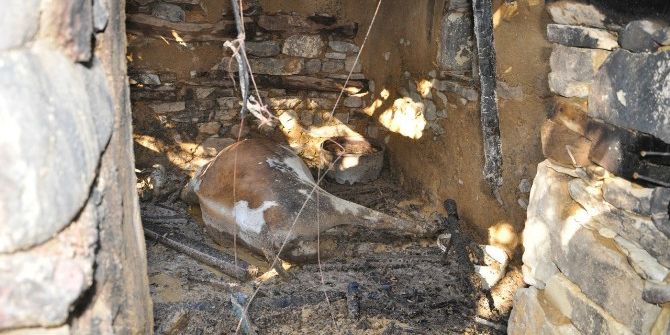 Tek Geçim Kaynağını Kaybedince Gözyaşlarına Boğuldu