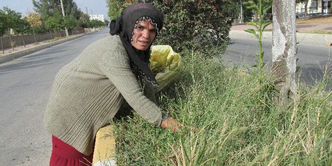 Diyarbakırlı Hasibe’nin Aydın’daki Yaşam Savaşı