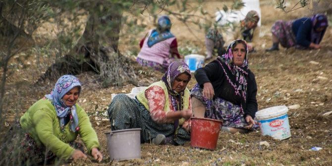 Tariş Sezona Avans Fiyat İle Girecek