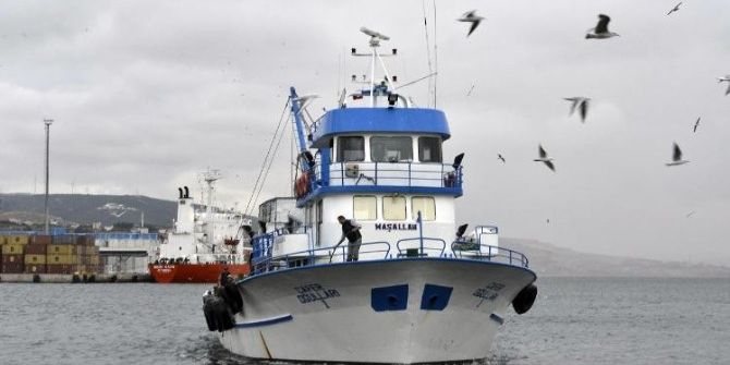 Palamudun Yerini Hamsi Alıyor