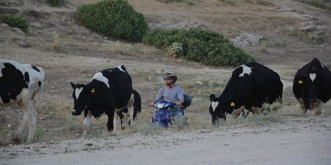 Uşak’ın Mende Bağlarını İsviçre’nin Alp Dağları’na Tercih Etti