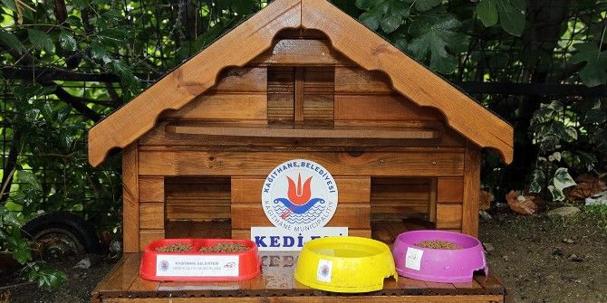 Kağıthane’de Kedi Ve Köpek Evleri Dezenfekte Ediliyor