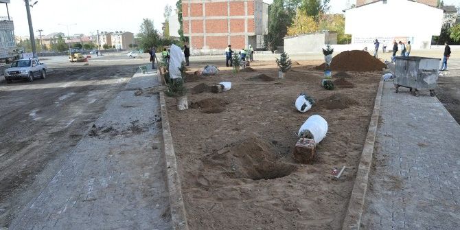 Palandöken Belediyesi ’’Sevdamız Yeşil Bir Palandöken’’ Sloganıyla Bin Fidan Dikimine Başladı