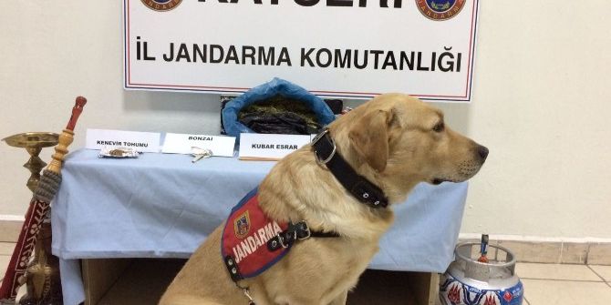 Jandarmadan Uyuşturucu Ve Tarihi Eser Operasyonu