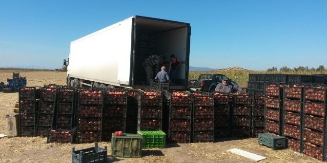 İzmirli Şimşek Ailesi, Suriye’ye 42 Ton Nar Bağışladı