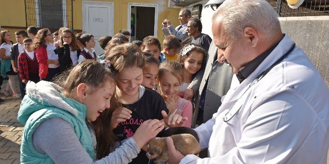 Öğrencilerden Hayvan Barınağına Ziyaret