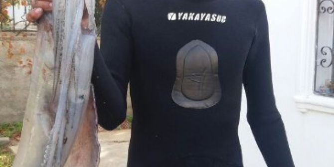 Dev Kalamar Görenleri Şaşkına Çevirdi