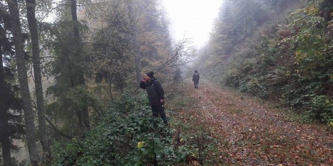 Mantar Toplarken Kaybolan Şahıs Aranıyor