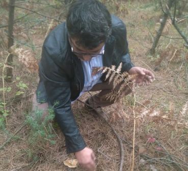 Kanlıca Mantarı İçin İstanbu'dan Merkeşlere!