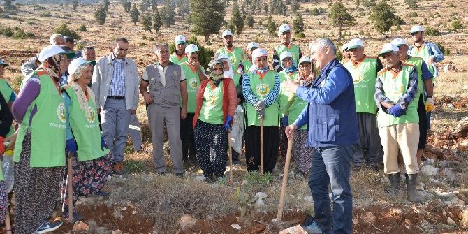 Orman Bölge Müdürlüğü, Toroslar’ın Çatısını Ağaçlandırıyor