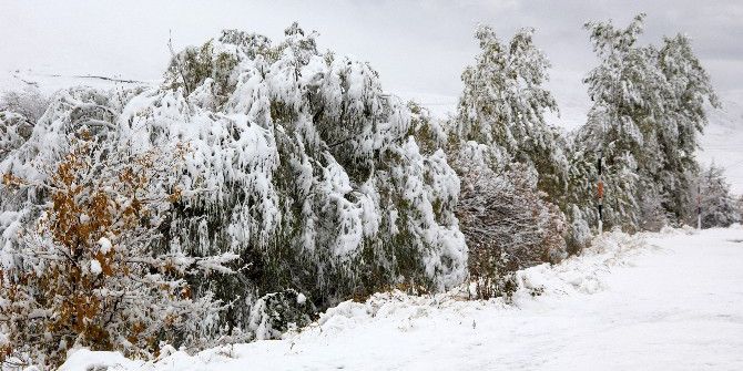 Erzurum Kar Yağışıyla Birlikte Beyaz Örtüye Büründü