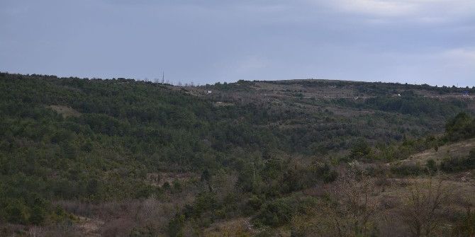 Alaplı Osb, Altyapı İhalesine Çıkıyor