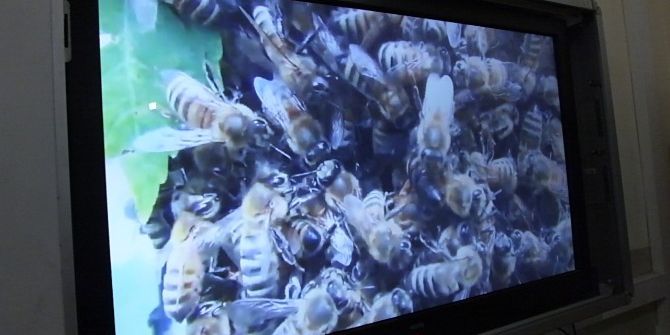 Burhaniye’de Arıcılık Kurslarına Kadın İlgisi