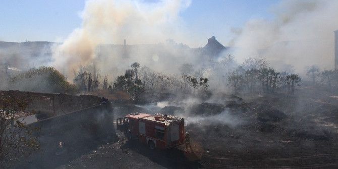 İzmir’de Korkutan Yangın