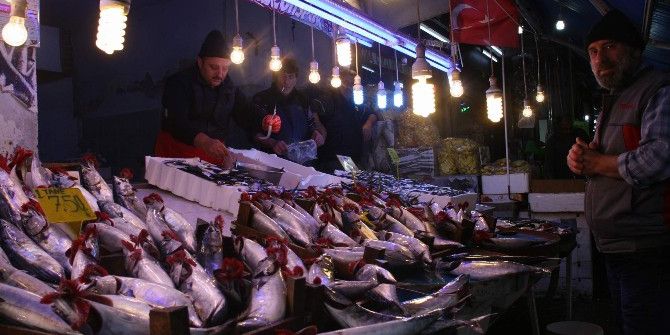 Havalar Soğudu, Palamudun Fiyatı 2 Kat Arttı