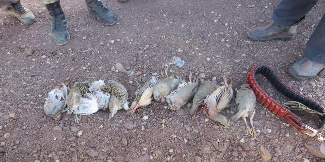 Erzincan’da Avlanma Limitini Aşan Avcılara Ceza Yağdı