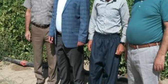 Tuşba Ziraat Odasından Üreticilere Ziyaret