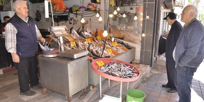 Soğuklar Balık Fiyatlarını Etkilemedi