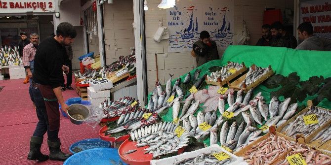 Rüzgar, Yağmur Ve Fırtına Balık Fiyatlarını Etkilemedi