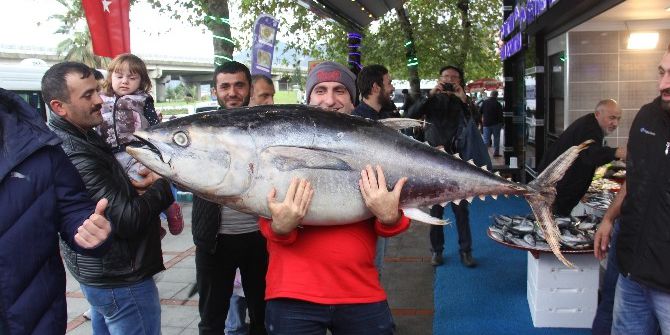 Rize’de Balıkçı Tezgahındaki Dev Orkinos Vatandaşın İlgisini Çekti