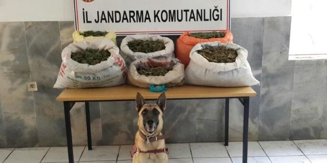 Mersin’de Uyuşturucu Operasyonu