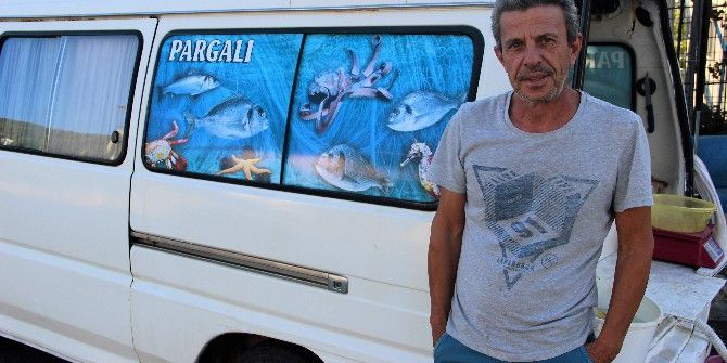 Domuzları Balıkla Besliyor