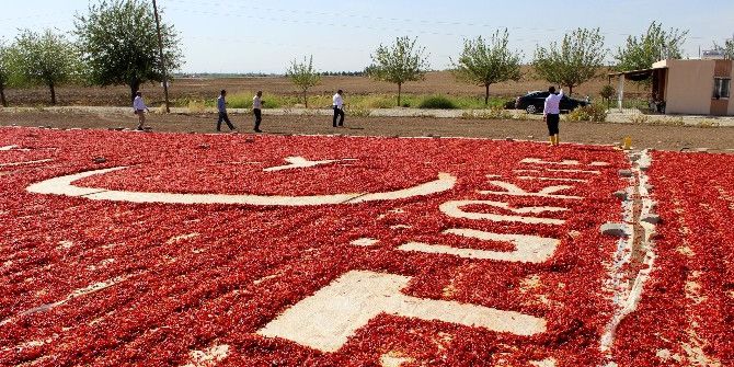 Bayrak Ve Türkiye Sevgisini Biber Sergisine İşledi