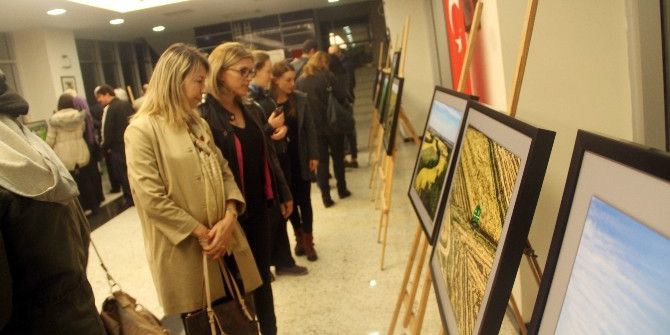 Efod Sergisine Yoğun İlgi