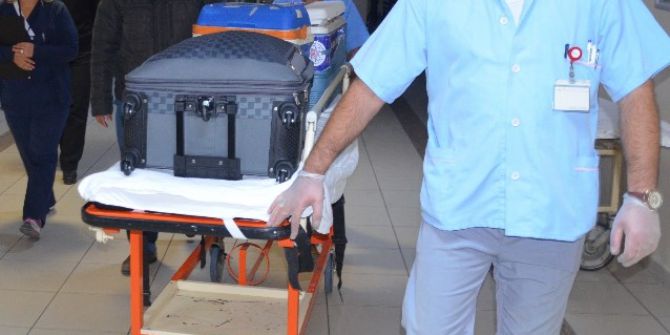 Organ Nakli Umutları Yeşertmeye Devam Ediyor