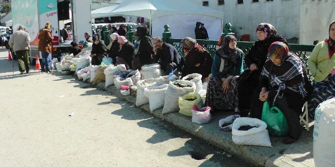Kestane Bolluğu Satıcıları Sevindirirken, Tüketici Fiyatlardan Şikayetçi