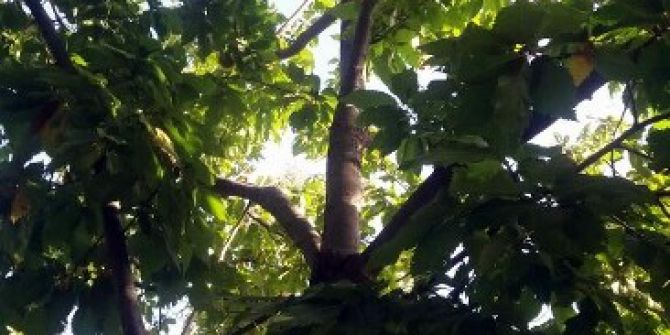 Bu Riski Alanlara Mühendis Maaşı Ödeniyor