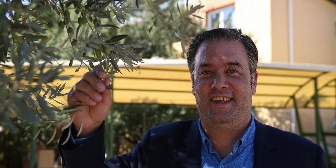 Buca’dan Eğitime Zeytin Dalı