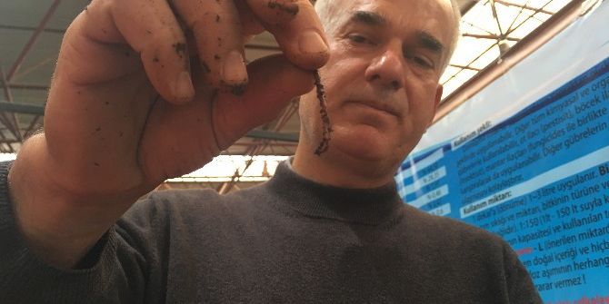 Tarımın Geleceği Solucanlara Bağlı