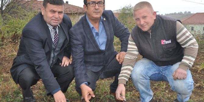 Safran Altınla Yarışıyor