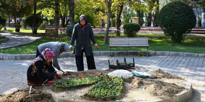 Gediz Sonbaharda Çiçeklerle Güzelleşiyor