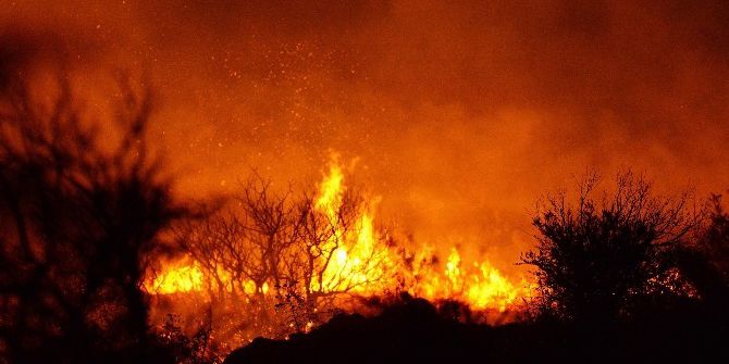 Bursa’da Orman Yangını