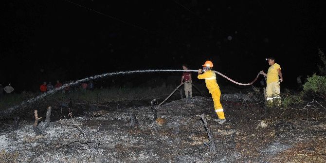 Manavgat’ta Makilik Alanda Yangın
