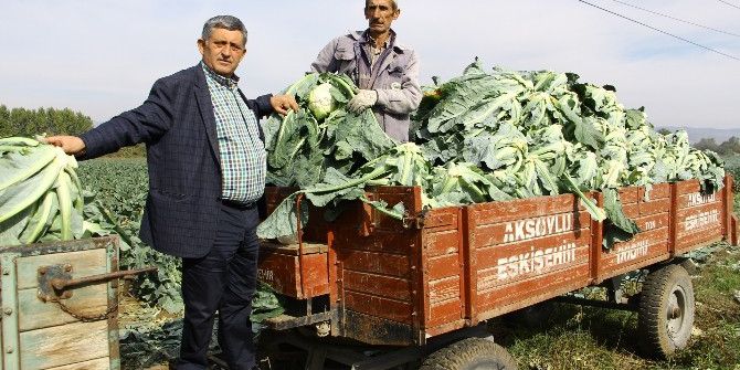 Kış Sebzeleri Çiftçinin Yüzünü Güldürdü