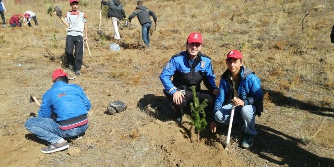 Emniyet Gençlerle Fidan Dikti