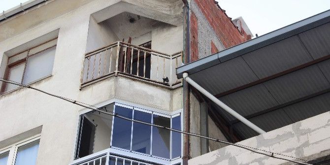 Sahibi Ölen Evde Mahsur Kalan Kedi Günlerdir Ölümü Bekliyor