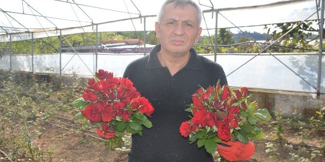 Fatsa’daki Kesme Çiçekçilerin Sorunları