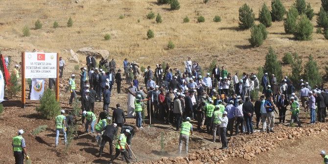 Mardin’de 15 Temmuz Şehitleri Anısına Hatıra Ormanı Oluşturuldu