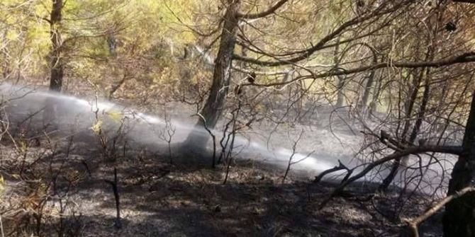 Çanakkale’de Orman Yangını