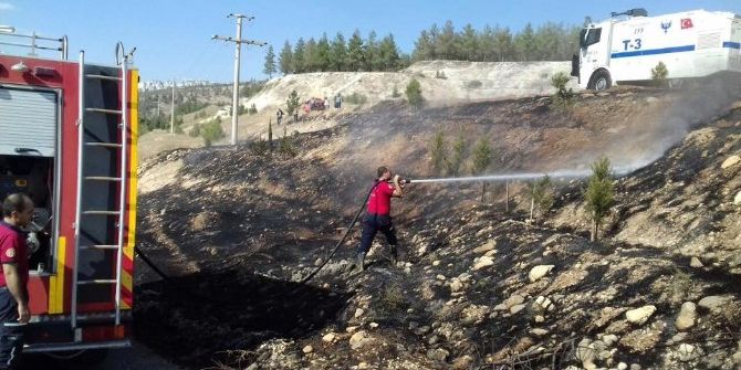 Ormanlık Alanda Yangın Çıktı
